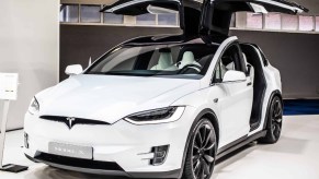 2023 Tesla Model X with Open Gullwing Rear Doors