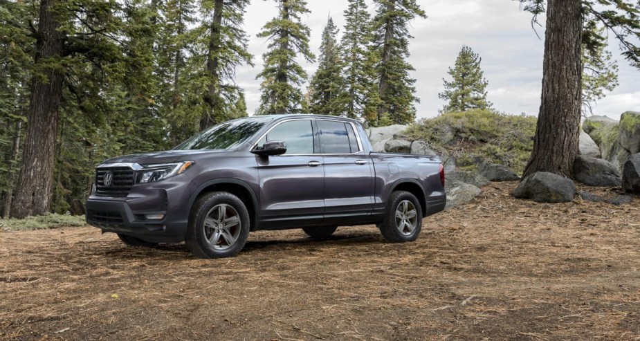 2023 Honda Ridgeline in the woods 