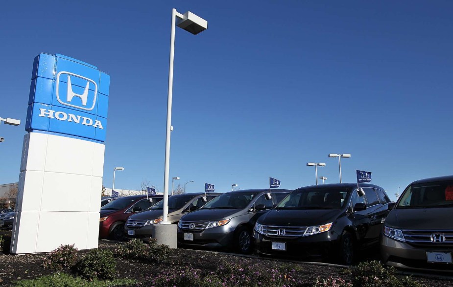 A group of Honda vehicles for at a dealership 