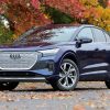 Blue 2023 Audi Q4 e-tron - This electric Audi SUV is posed in front of an autumn tree with leaves that have changed colors.