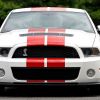 A Ford Mustang Shelby Cobra on display.