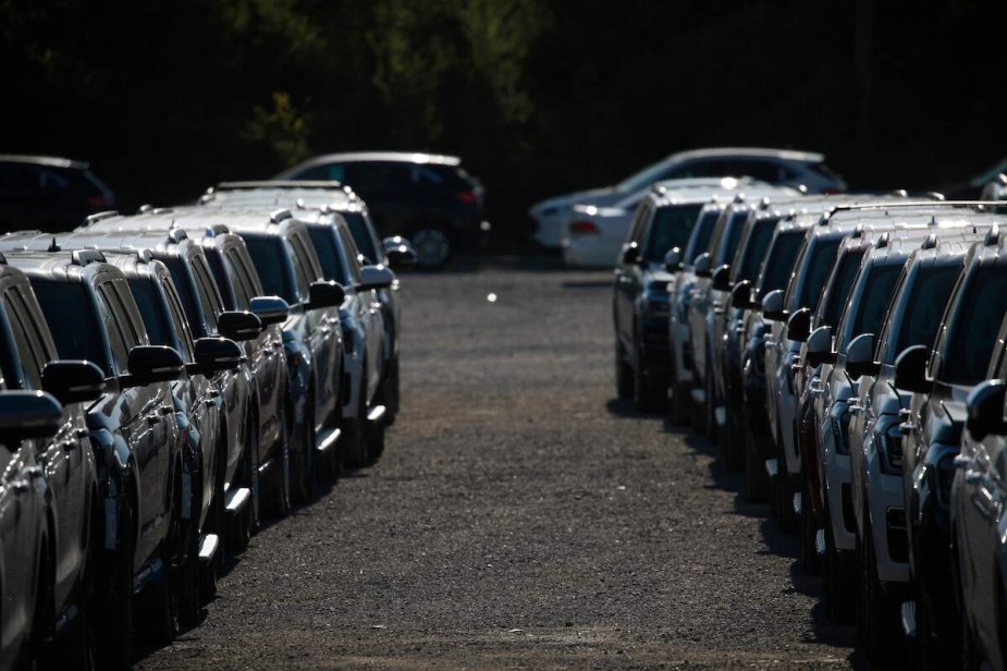 Two rows of SUVs, potentially SUV rental price, parked outdoors.