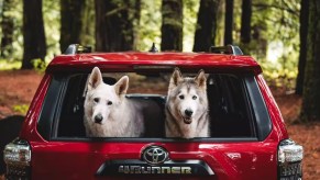 The cargo area of a red 2023 Toyota 4Runner midsize SUV.