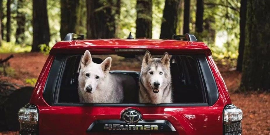 The cargo area of a red 2023 Toyota 4Runner midsize SUV. 