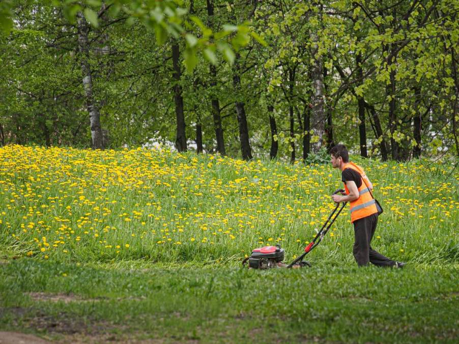 Someone pushing a lawn mower in high grass.