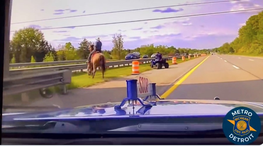 A man on a horse chasing a steer down the highway