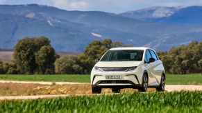 The new BYD Dolphin in white on a country road