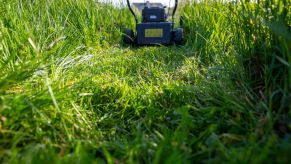 A lawn mower going through grass.