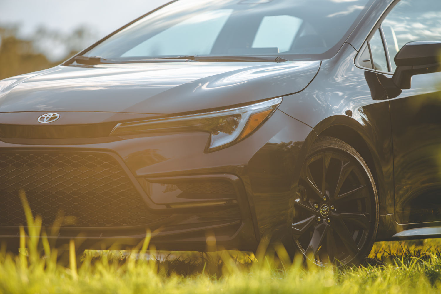 2023 Toyota Corolla front end