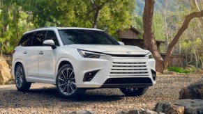 A white 2024 Lexus TX luxury midsize three-row SUV is parked outdoors.