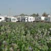 A mancamp of RV campers models in Tioga, North Dakota due to economic oil booms.