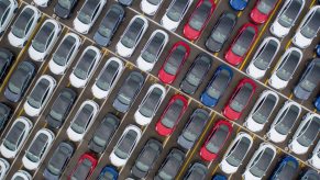 Multiple Tesla Model Y small electric SUVs are parked in a lot.