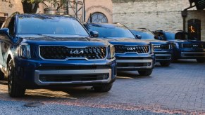 Multiple Kia Telluride midsize SUVs are parked.