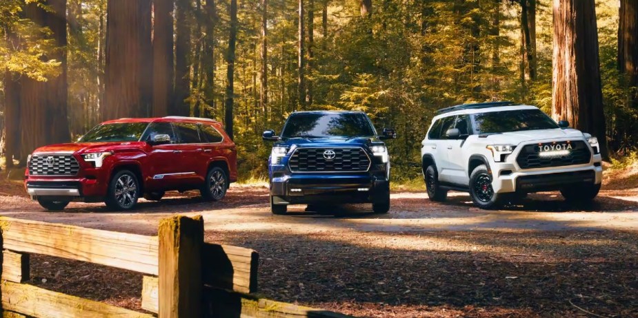 Three Toyota Sequoia full-size SUVs are parked outdoors.