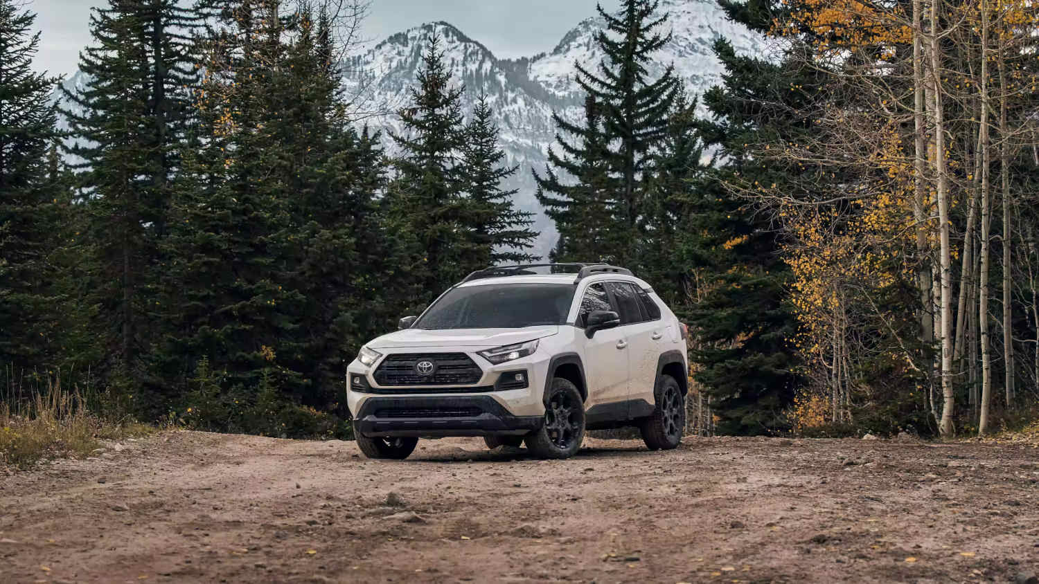 This Toyota RAV4 reliability matches the Toyota 4Runner