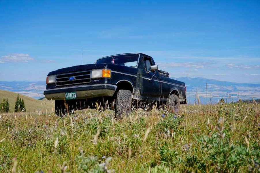 Black Ford F-150 parked in a field, a mountain range in the background.