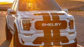 A white 2023 Shelby F-150 truck with racing stripes