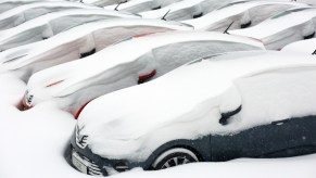 Cars for sale buried in snow in the winter