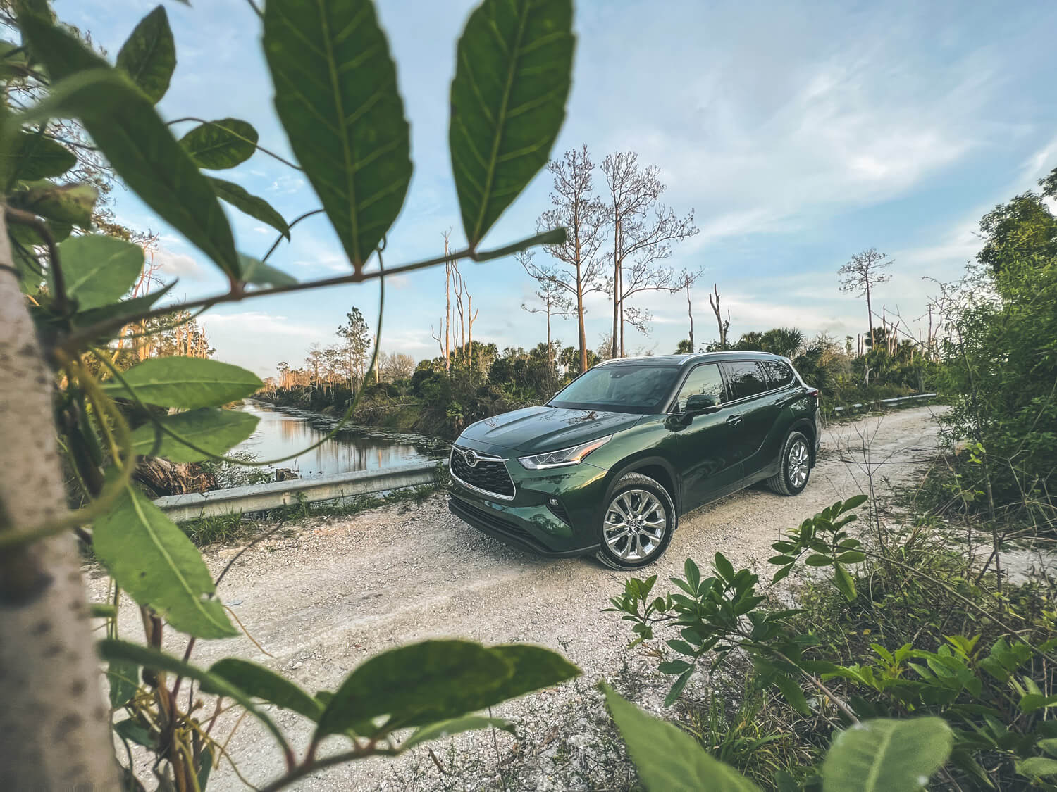 The 2023 Toyota Highlander in green