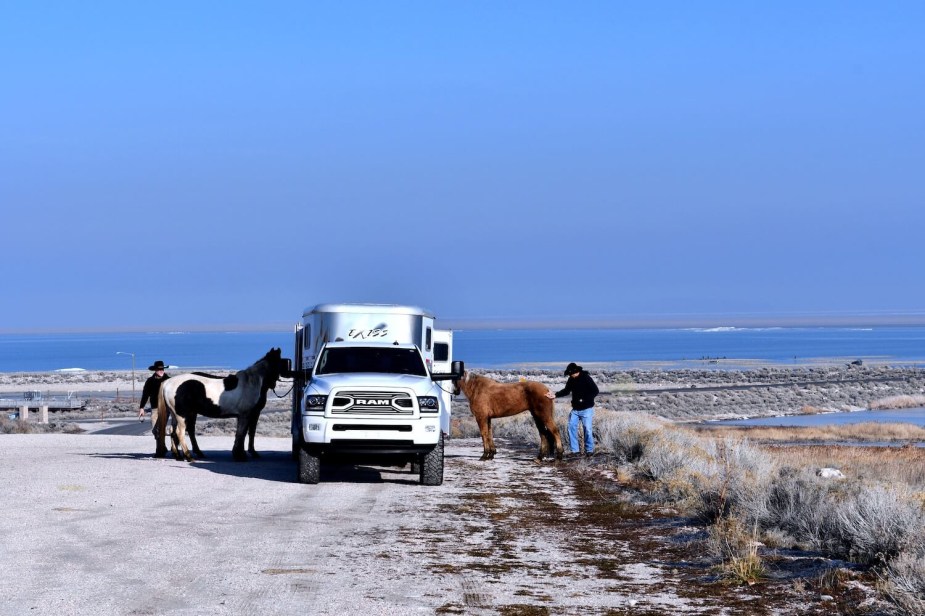 A white Ram truck parked with a horse trailer and horses 