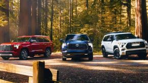 Three Toyota Sequoia full-size SUVs are parked outdoors.