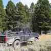 Antique pickup truck parked in front of trees on an overlanding camping adventure.