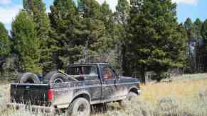 Antique pickup truck parked in front of trees on an overlanding camping adventure.