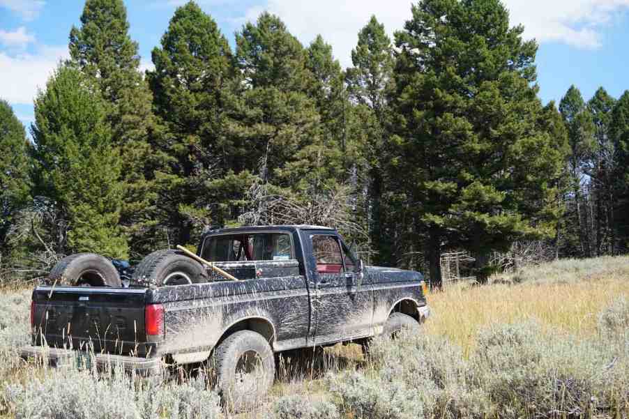 Antique pickup truck parked in front of trees on an overlanding camping adventure.