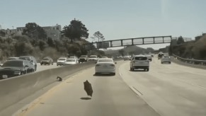 Tesla Cybertruck flying hubcap caught on dashcam