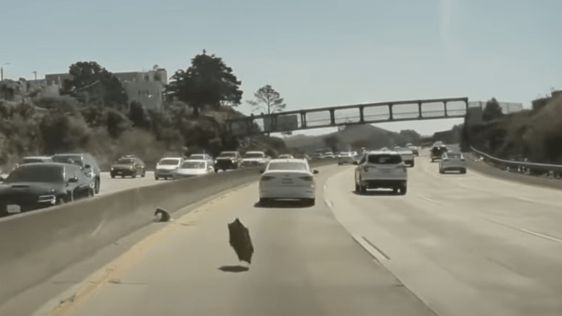 What Does it Say About Tesla Cybertruck When Hubcaps Start Flying Off?