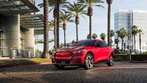 Red Ford Mustang Mach-E crossover parked beneath a row of palm trees in a city.