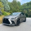 The 2023 Lexus NX 350 F Sport parked near trees