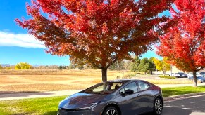 A front corner view of the 2023 Toyota Prius Prime next to trees