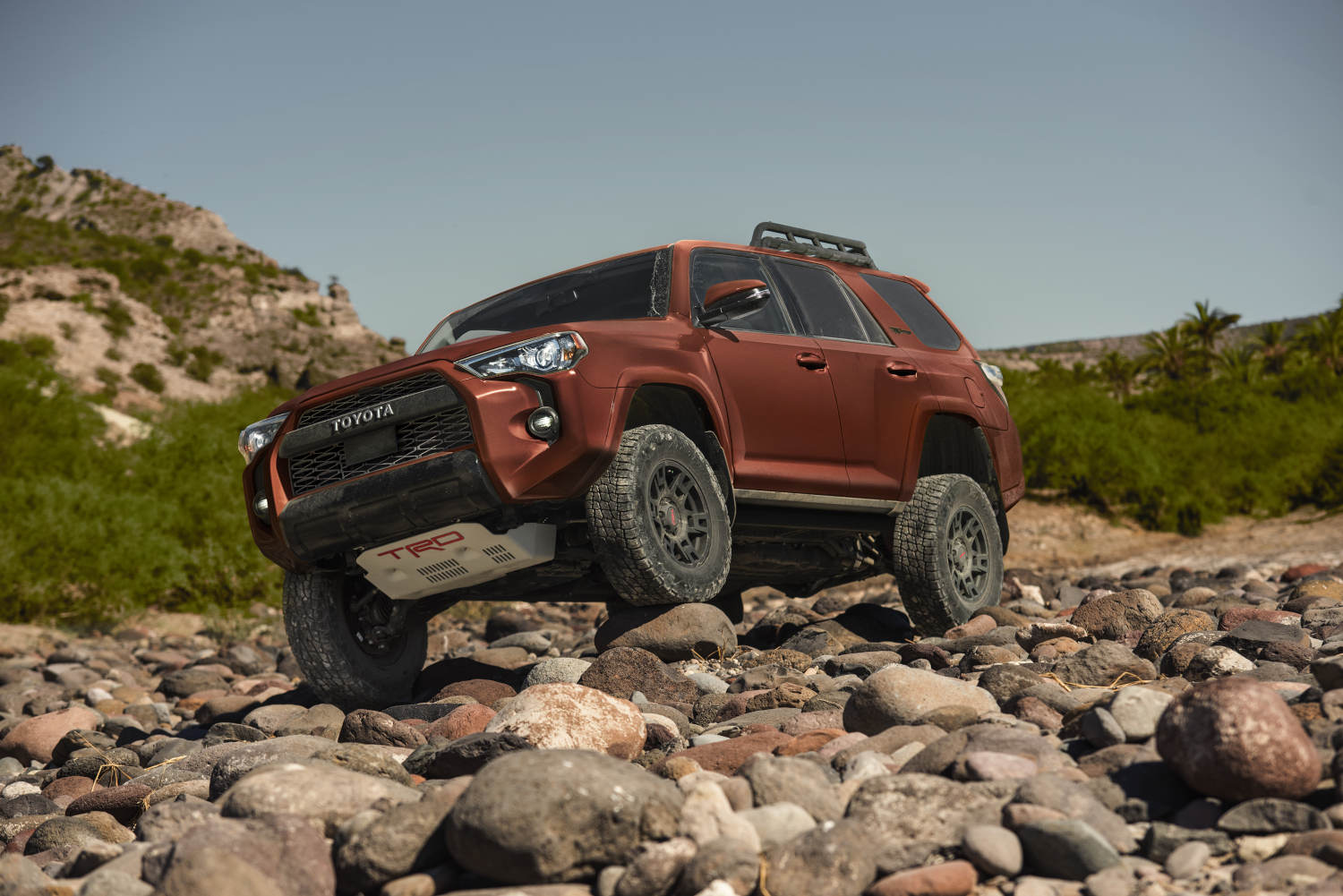 The 2024 Toyota 4Runner in Terra