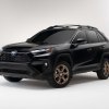 A black 2024 Toyota RAV4 Hybrid Woodland Edition against a white backdrop.