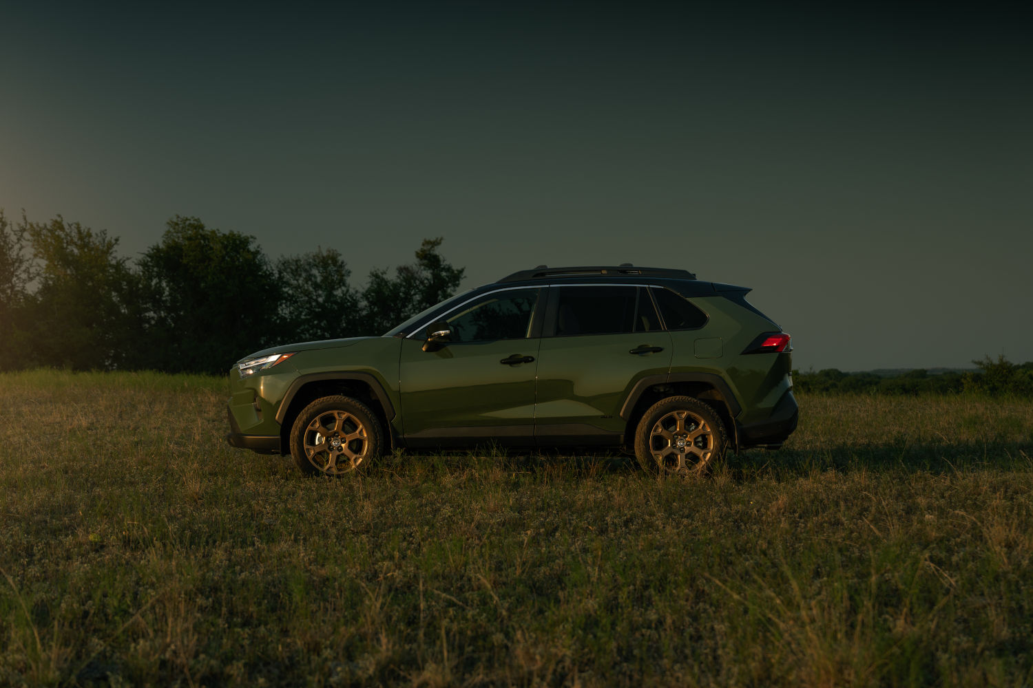 The Toyota RAV4 Hybrid Woodland Edition in the grass