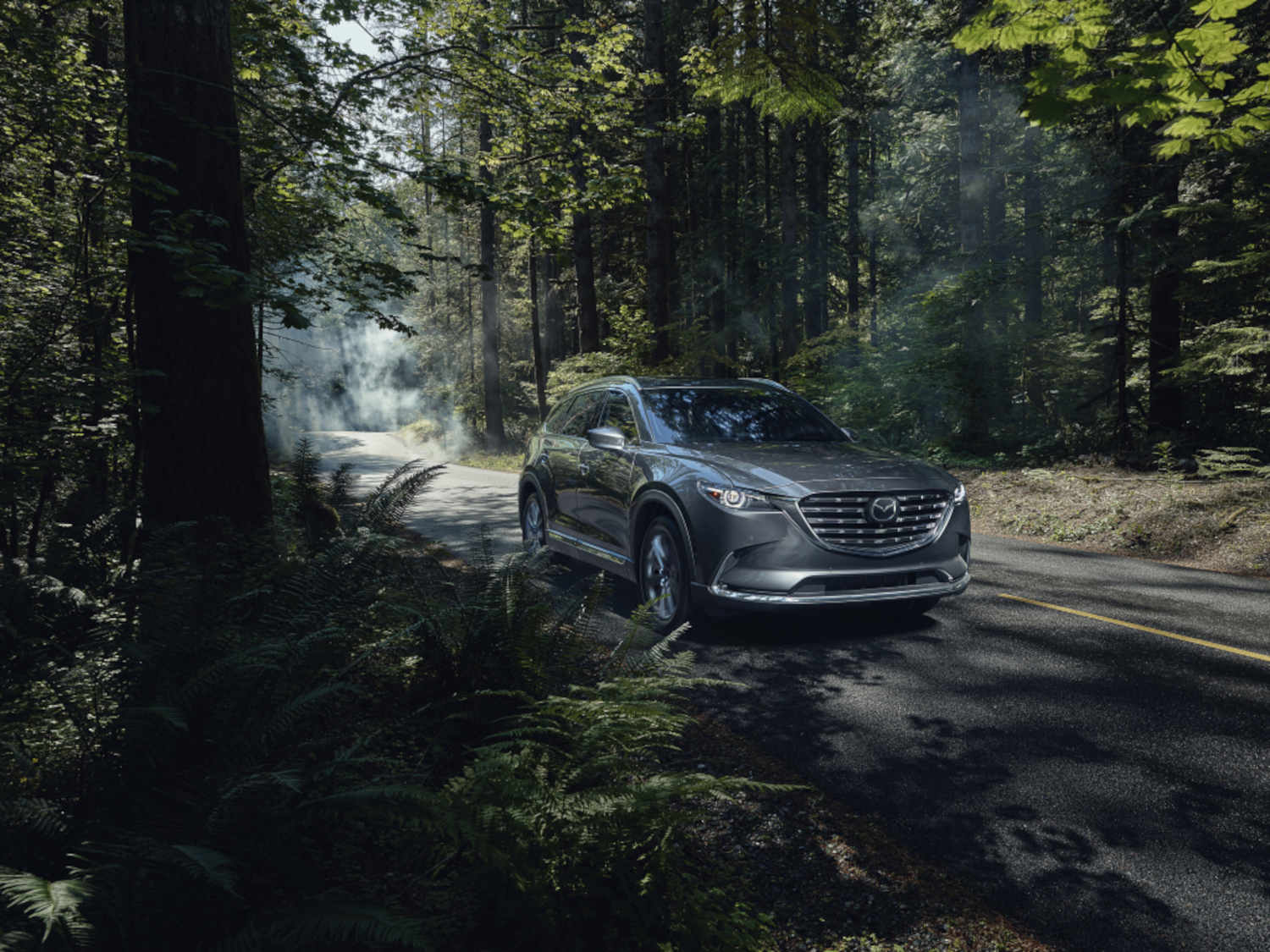 The Mazda CX-9 SUV in the forest