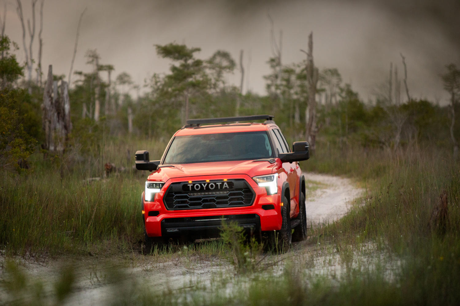 The Hybrid RAV Toyota is more popular than the Sequoia seen here in the dirt