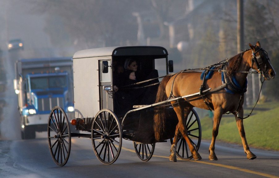 An Amish family in a buggy drive in front of a farm dump truck, fog in the background.