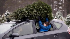 7 year old boy leans out a car window to hold a Christmas tree down on the roof rack of his mom's SUV