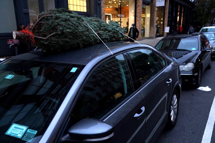 Here's how to bring home home a Christmas tree without scratching your car