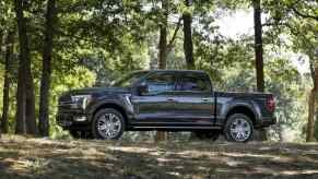 Ford trucks like this F-150 make up the F-Series lineup