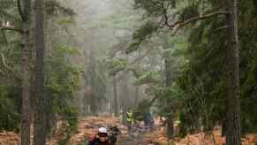 dirt bikers cruising through foggy pines