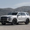 The 2024 Hyundai Palisade in front of a scenic view