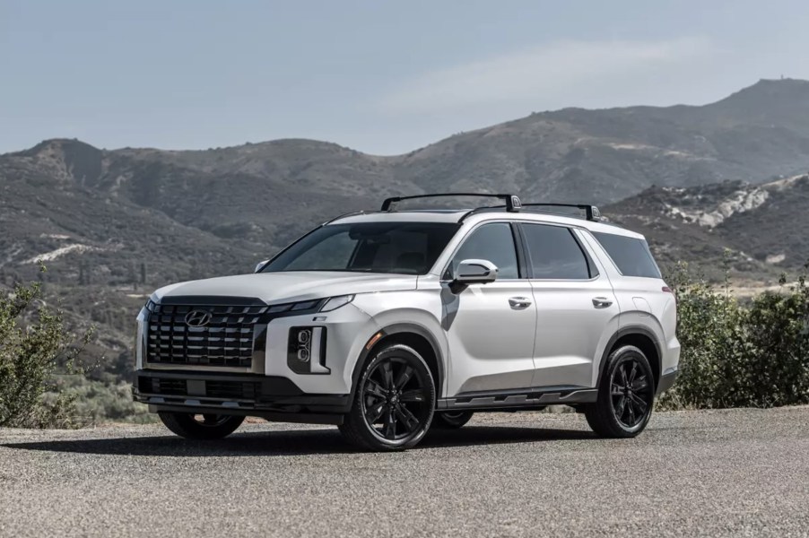 The 2024 Hyundai Palisade in front of a scenic view