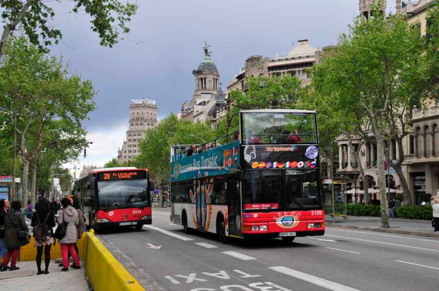 Two red buses drive down a boulevard in Barcelona