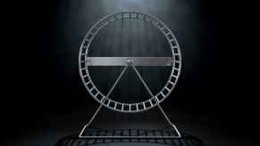 A metal hamster wheel in a dark space overhead light