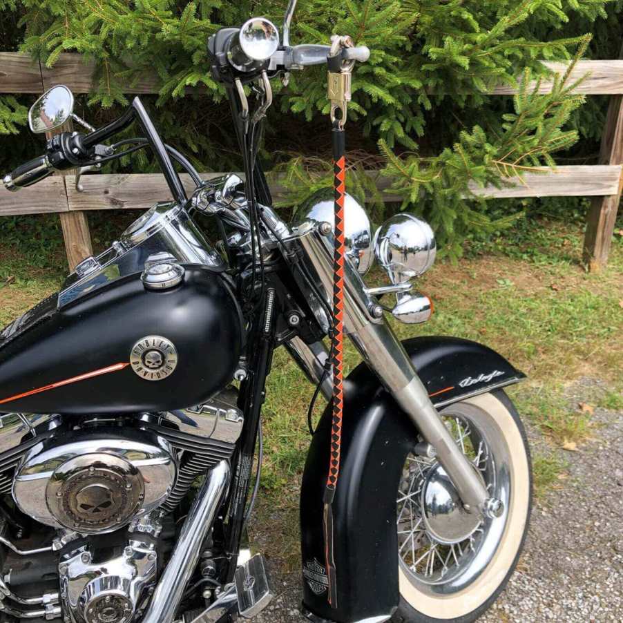 A Harley-Davidson motorcycle flashes a colorful get back whip.