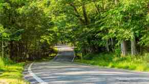 Tunnel of Trees drive in Northern Michigan