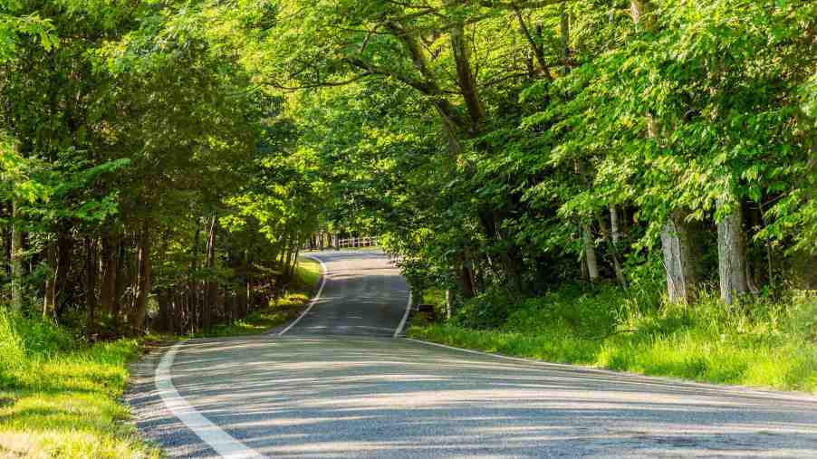 Tunnel of Trees drive in Northern Michigan